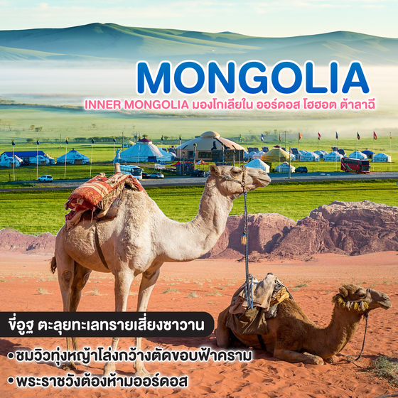 ทัวร์มองโกเลีย Inner Mongolia มองโกเลียใน ออร์ดอส โฮฮอต ต้าลาฉี 