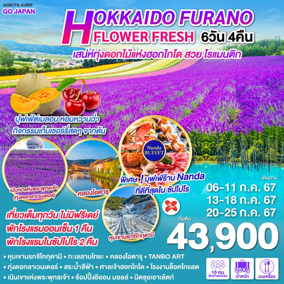 HOKKAIDO FURANO FLOWER FRESH 6D 4N โดยสายการบินแอร์เอเชีย เอ็กซ์ [XJ]