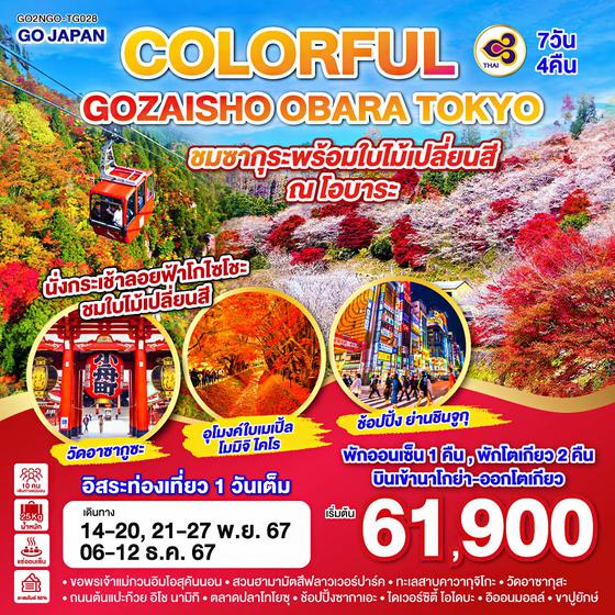 COLORFUL GOZAISHO KORANKEI TOKYO 7D 4N โดยสายการบินไทย [TG]