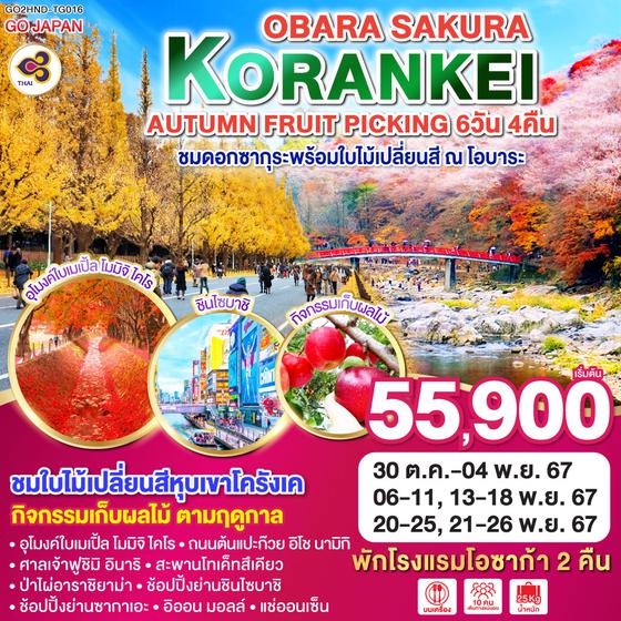 KORANKEI OBARA SAKURA & AUTUMN FRUIT PICKING 6D 4N โดยสายการบินไทย [TG]