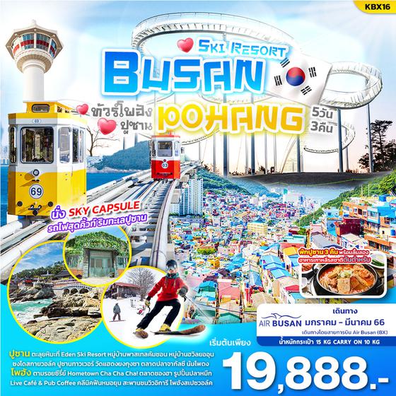 SKI RESORT BUSAN-POHANG ปูซาน โพฮัง 5วัน 3คืน โดยสายก่ารบิน Air Busan (BX)