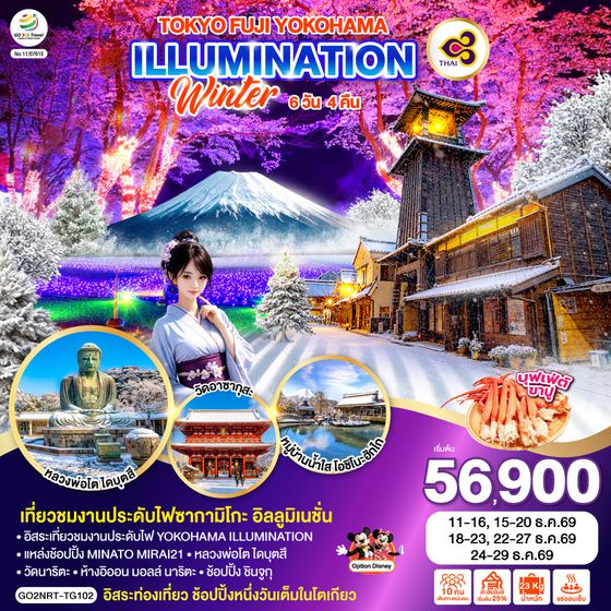 GO2NRT-TG102 TOKYO FUJI YOKOHAMA ILLUMINATION WINTER  6D 4N โดยสายการบินไทย [TG]