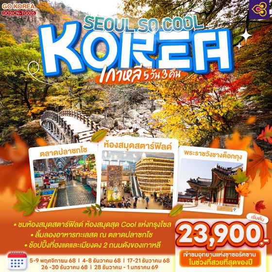 QQGO3ICN-TG005 เกาหลี (KOREA) SEOUL SO COOL 5 วัน 3 คืน โดยสายการบินไทย (TG)