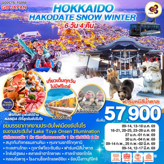 QQGO2CTS-TG050 HOKKAIDO HAKODATE SNOW WINTER  6D 4N โดยสายการบินไทย [TG]