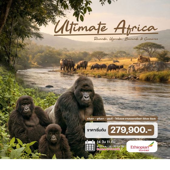 14 วัน รวันดา – ยูกันดา – บุรุนดี – โคโมรอส