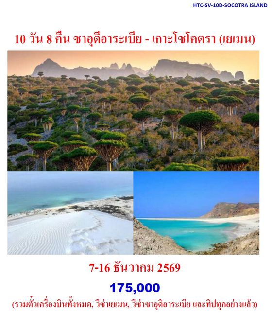 10 วัน 8 คืน ซาอุดีอาระเบีย - เกาะโซโคตรา (เยเมน)