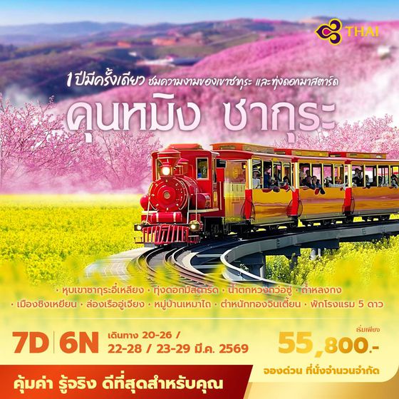 TG คุนหมิง ซากุระ 1 ปีมีครั้งเดียว ชมความงามของเขาซากุระ และทุ่งดอกมาสตาร์ด 7วัน6คืน พัก 5 ดาว ไม่ลงร้าน ไม่ขายออปชั่น