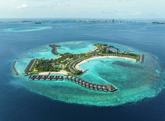 ศรีลังกา มัลดีฟส์ dusitD2 Feydhoo Maldives (ดุสิตดีทู เฟย์ดู มัลดีฟส์)