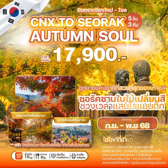 SEORAK เกาหลีใต้ ซอรัค โซล ใบไม้เปลี่ยนสี (บินตรงเชียงใหม่-โซล) 5 วัน 3 คืน เดินทาง กันยายน - พฤศจิกายน 68 เริ่มต้น 17,900.- Jeju Air (7C)