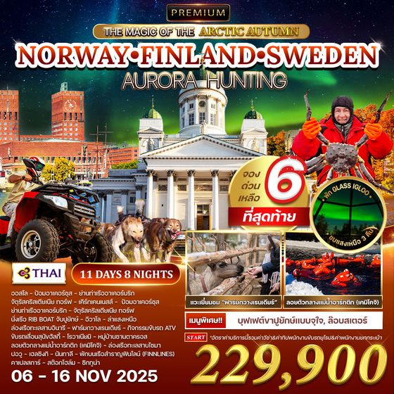 ทัวร์นอร์เวย์ - ฟินแลนด์ - สวีเดน ล่าแสงเหนือ 11 วัน 8 คืน (TG) SEP - NOV 2025