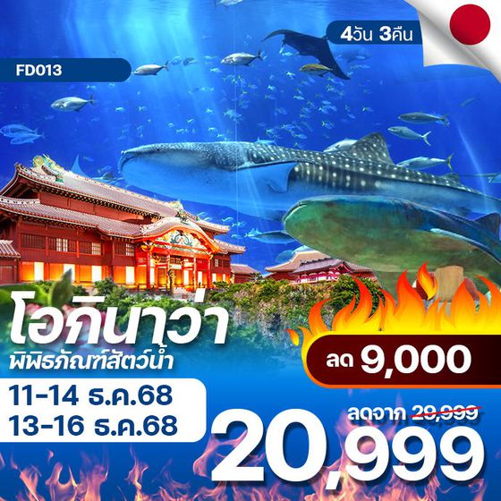 โปรไฟไหม้ japan okinawa โอกินาว่า ลมหนาว ปะทะ ลมทะเล ลดสูงสุด 9,000