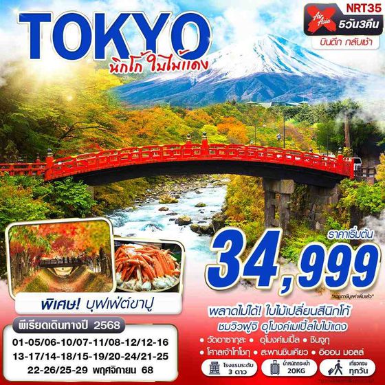 ทัวร์ญี่ปุ่น NRT35 XJ DMK TOKYO นิกโก้ ใบไม้แดง (บินดึกกลับเช้า เที่ยวเต็ม) NOV 5D3N
