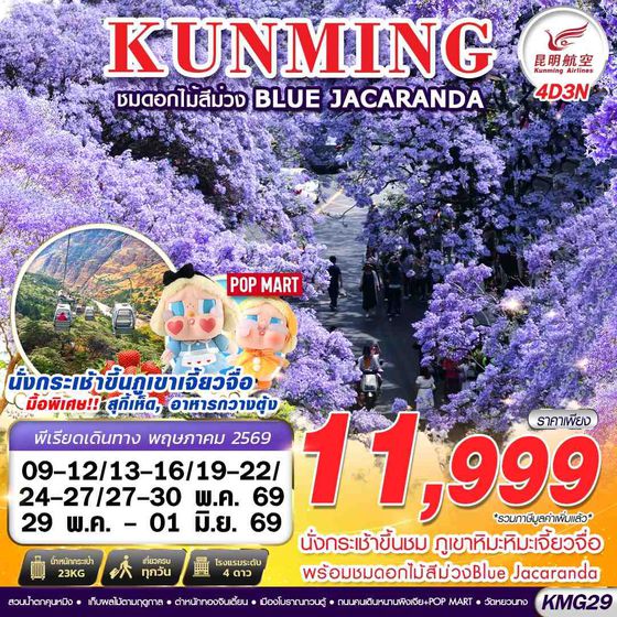 KMG29 KY BKK KUNMING ภูเขาหิมะเจี้ยวจื่อ - ดอกไม้สีม่วง Blue Jacaranda  4D3N (MAY 26)