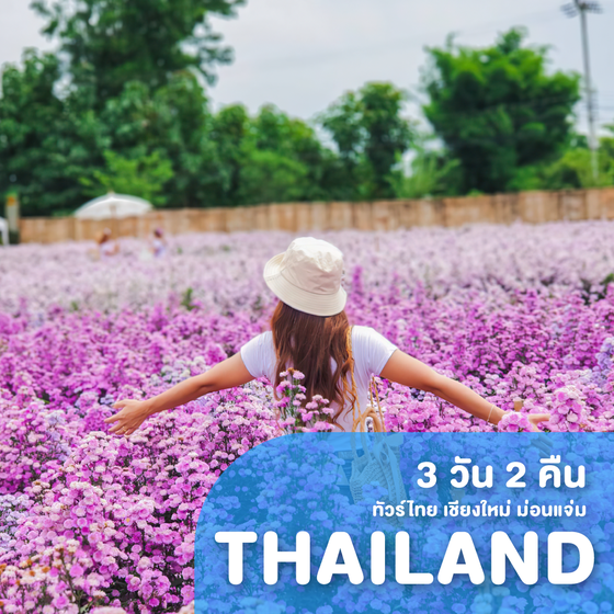 ท วร ล ท วเน ย เร มต นเพ ยง 45 900 ลดส งส ดท กว น 20 60 ร ดบ ตรเครด ตฟร Nidnoi Travel