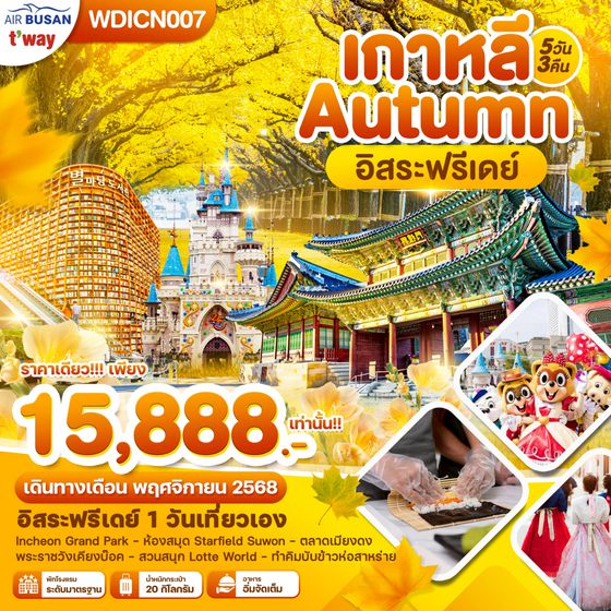 WDICN007 เกาหลี Autumn อิสระฟรีเดย์ 5วัน 3คืน