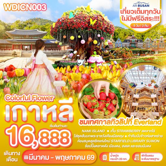 WDICN003 เกาหลี Colorful flower เที่ยวเต็มไม่มีฟรีอิสระ 5วัน บิน BX