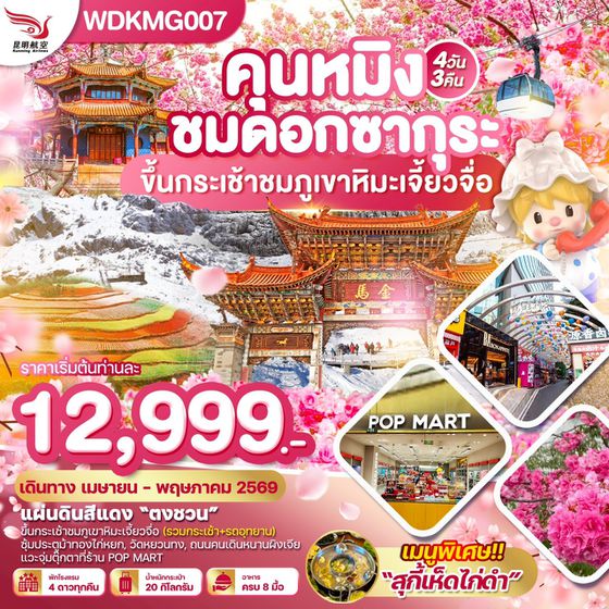 WDKMG007  คุนหมิง ชมดอกซากุระบาน ภูเขาหิมะเจี้ยวจื่อ 4วัน3คืน บิน KY