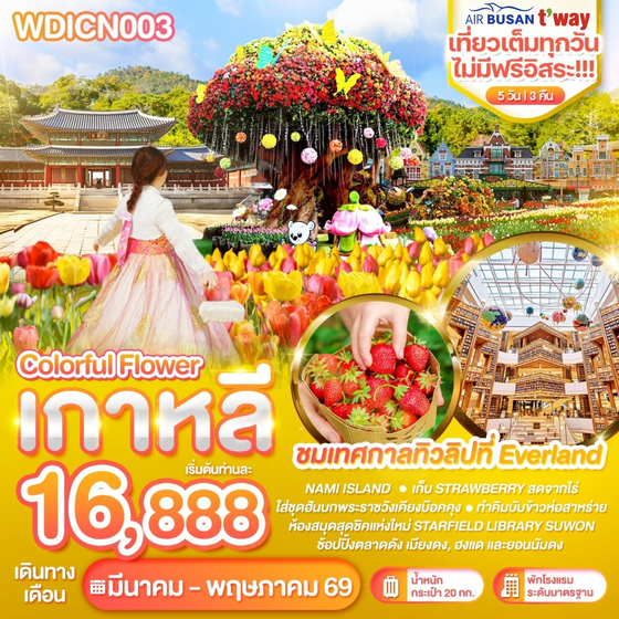 WDICN003 เกาหลี Colorful flower เที่ยวเต็มไม่มีฟรีอิสระ 5วัน บิน BX