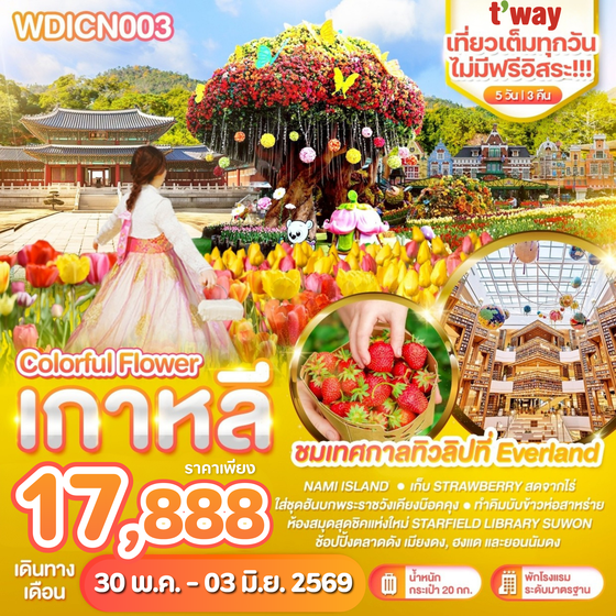 WDICN003 เกาหลี Colorful flower เที่ยวเต็มไม่มีฟรีอิสระ 5วัน บิน BX