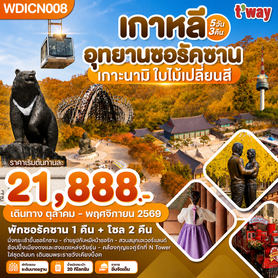 WDICN008 เกาหลี อุทยานซอรัคซาน เกาะนามิ ใบไม้เปลี่ยนสี 5วัน3คืน บิน BX & TW
