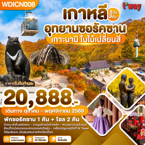 WDICN008 เกาหลี อุทยานซอรัคซาน เกาะนามิ ใบไม้เปลี่ยนสี 5วัน3คืน บิน BX & TW
