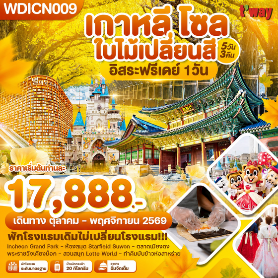 WDICN009 เกาหลี โซล ใบไม้เปลี่ยนสี อิสระฟรีเดย์ 1วัน_5วัน3คืน บิน BX & TW