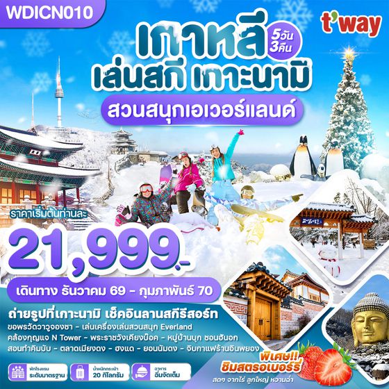 WDICN010 เกาหลี เล่นสกี เกาะนามิ เที่ยวปีใหม่!! สวนสนุกเอเวอร์แลนด์ 5วัน3คืน บิน TW