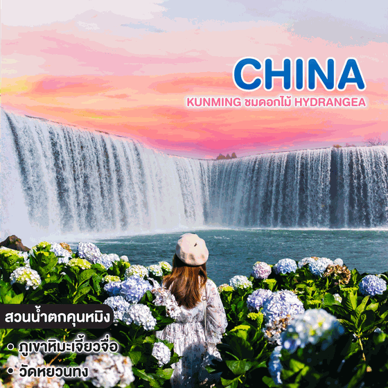 ทัวร์จีน KUNMING ชมดอกไม้ Hydrangea