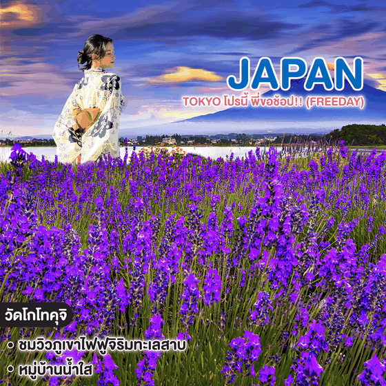 ทัวร์ญี่ปุ่น TOKYO โปรนี้ พี่ขอช้อป!! (FREEDAY)