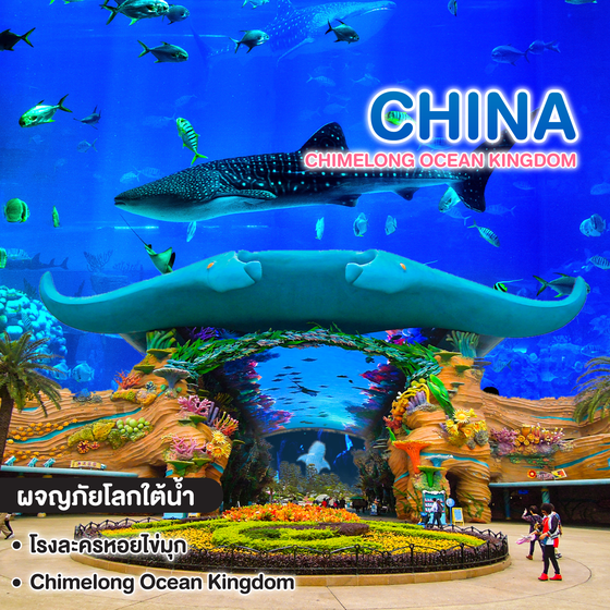 ทัวร์จีน "กวางโจว & จูไห่" CHIMELONG Ocean Kingdom