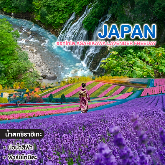 ทัวร์ญี่ปุ่น ฮอกไกโด ASAHIKAWA LAVENDER FREEDAY ซุปตาร์ ม่วงละมุน ทุ่งดอกไม้ฟิน เช็กอินซัปโปโร 