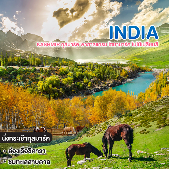 ทัวร์อินเดีย KASHMIR กุลมาร์ค พาฮาลแกรม โซนามาร์ค ใบไม้เปลี่ยนสี