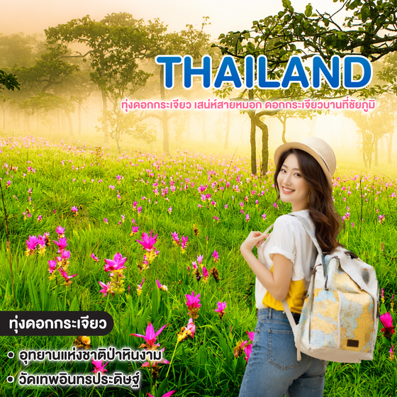 ทัวร์ไทย Thailand ชัยภูมิ ทุ่งดอกกระเจียว เสน่ห์สายหมอก ดอกกระเจียวบานที่ชัยภูมิ