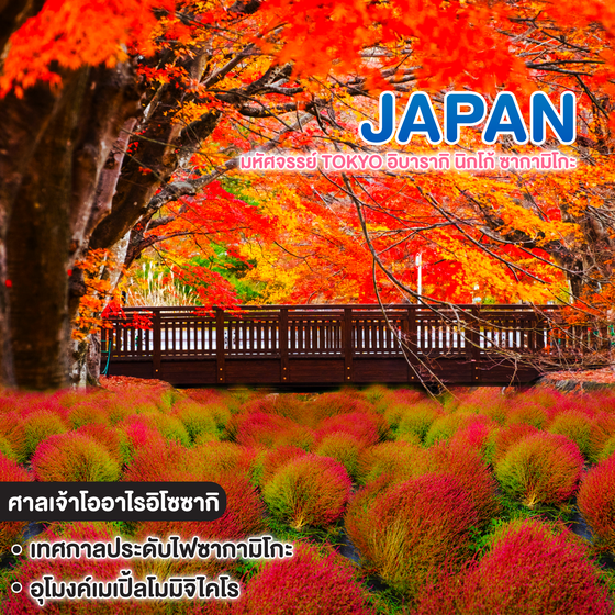 ทัวร์ญี่ปุ่น มหัศจรรย์ Tokyo อิบารากิ นิกโก้ ซากามิโกะ 