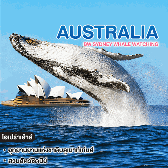 ทัวร์ออสเตรเลีย BW SYDNEY Whale Watching