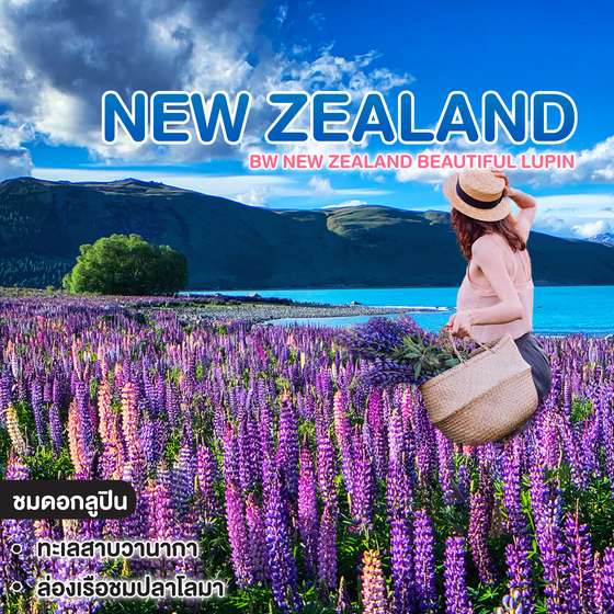 ทัวร์นิวซีแลนด์ BW New Zealand Beautiful Lupin