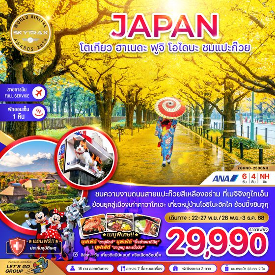 ZGHND-2530NH โตเกียว ฮาเนดะ ฟูจิ โอไดบะ ชมแปะก๊วย (เที่ยวอิสระ 1 วัน)