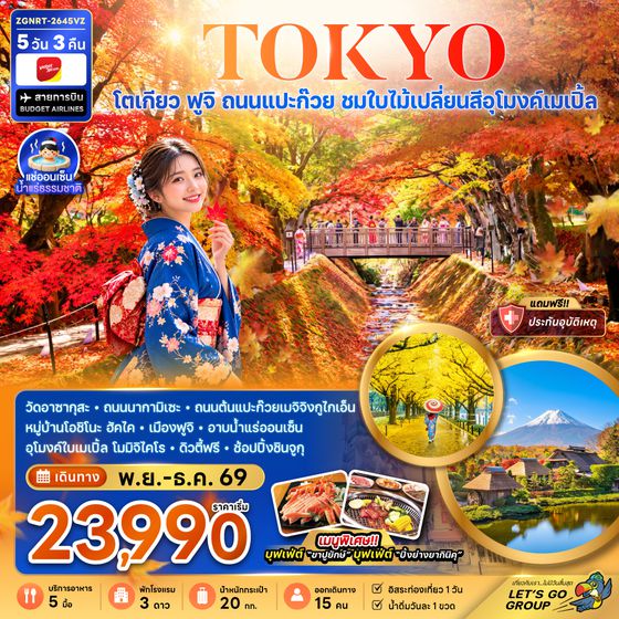 ZGNRT-2645VZ โตเกียว ฟูจิ ถนนแปะก๊วย ชมใบไม้เปลี่ยนสีอุโมงค์เมเปิ้ล (อิสระท่องเที่ยว 1 วัน)