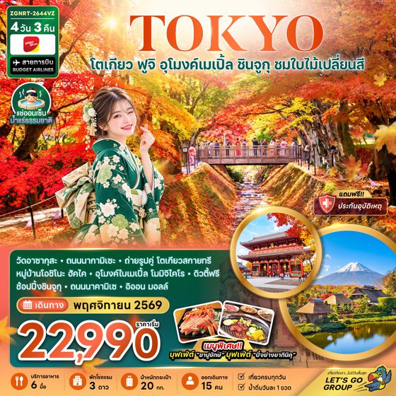 ZGNRT-2644VZ โตเกียว ฟูจิ อุโมงค์เมเปิ้ล ชินจูกุ ชมใบไม้เปลี่ยนสี (เที่ยวเต็ม)