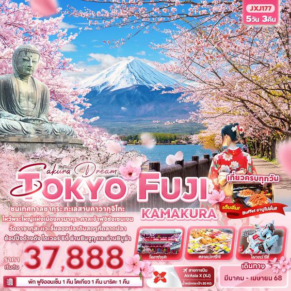 TOKYO FUJI โตเกียว ฟูจิ คามาคุระ ซากุระ 5 วัน 3 คืน เดินทาง มีนาคม - เมษายน 68 เริ่มต้น 37,888.- Air Asia X (XJ)