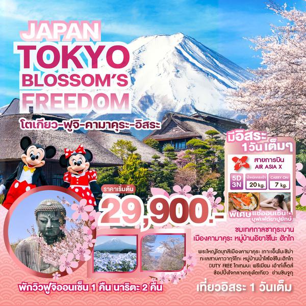 JAPAN ญี่ปุ่น โตเกียว คามาคุระ ฟูจิ ซากุระ ฟรีเดย์ 5 วัน 3 คืน เดินทาง พฤษภาคม - สิงหาคม 68 เริ่มต้น 29,900.- Air Asia X (XJ)