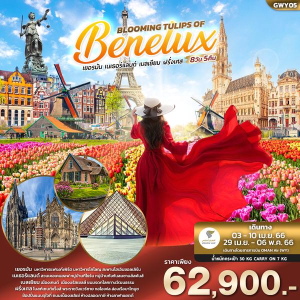 GWY05  BLOOMING TULIPS OF BENELUX 8วัน 5คืน