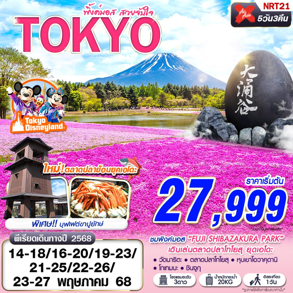 NRT21 XJ DMK TOKYO พิ้งค์มอส สวยจับใจ (FREEDAY บินเช้า) MAY 5D3N