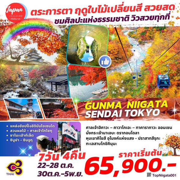 TOPNIGATA001 : GUNMA NIIGATA SENDAI TOKYO 7D4N BY TG