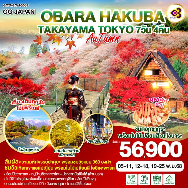 QQGO2NGO-TG068 OBARA HAKUBA TAKAYAMA TOKYO AUTUMN   7D 4N โดยสายการบินไทย [TG]