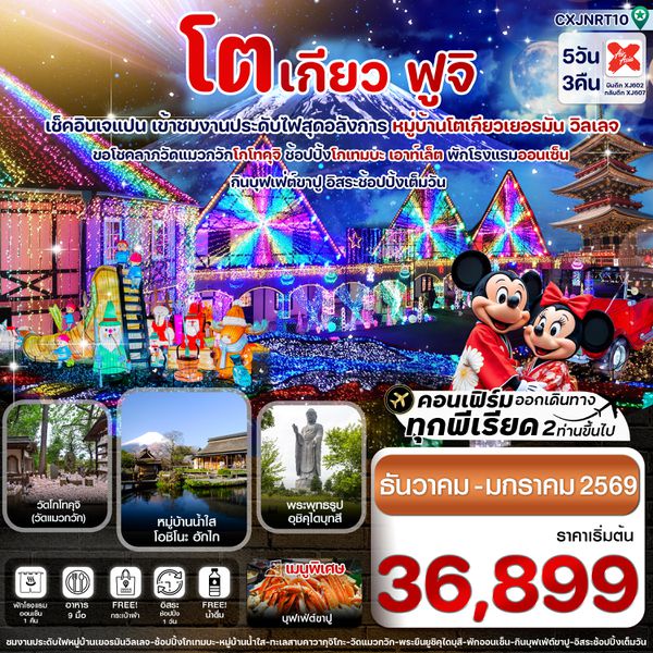 CXJNRT10 โตเกียว ฟูจิ งานประดับไฟเยอรมันวิลเลจ 5วัน3คืน อิสระช้อปปิ้งเต็มวัน