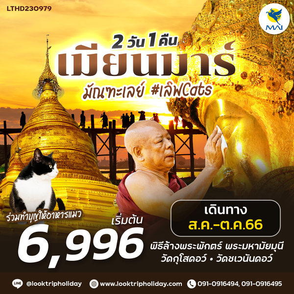 #เลิฟCats มัณฑะเลย์ พิธีล้างพระพักตร์ พระมหามัยมุนี 2 วัน 1 คืน เดินทาง ส.ค.-ต.ค.66 เริ่มต้น 6,996.- MYANMAR AIRWAYS (8M)