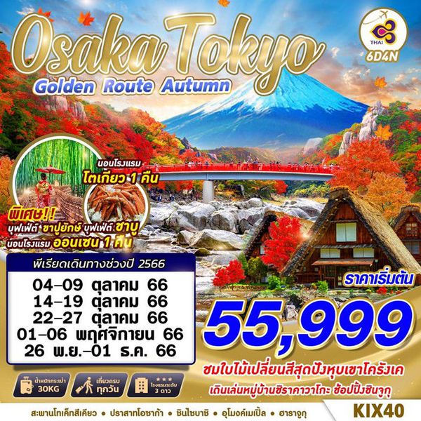 Osaka Tokyo Golden Route Autumn 6 วัน 4 คืน เดินทาง ต.ค.-พ.ย.66 เริ่มต้น 55,999.- Thai Airways (TG)