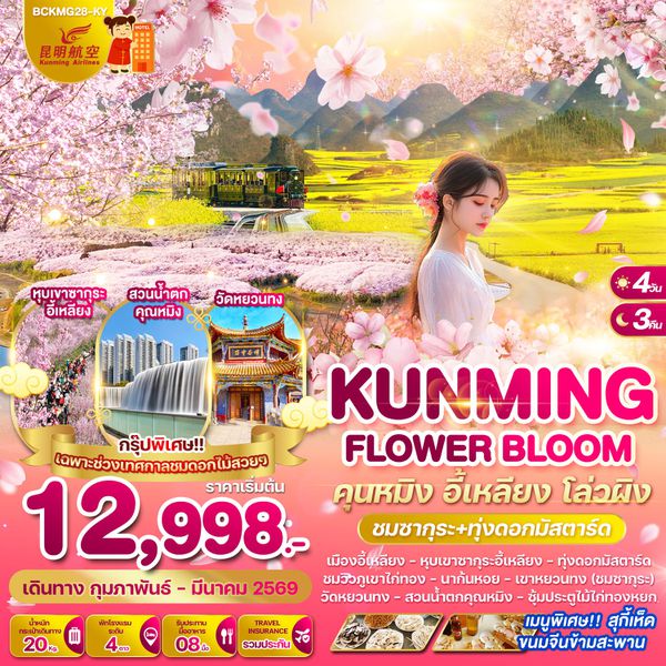 BCKMG28-KY KUNMING FLOWER BLOOM คุนหมิง อี้เหลียง โล่วผิง 4 วัน 3 คืน (ชมซากุระ+ทุ่งดอกมัสตาร์ด)