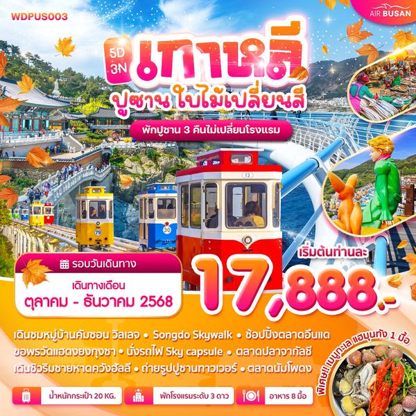 WDPUS003 เกาหลี ปูซาน ใบไม้เปลี่ยนสี 5วัน 3คืน
